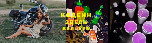 дурь Заречный