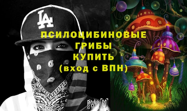гашик Куйбышев
