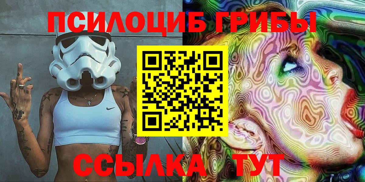 Галлюциногенные грибы Psilocybine cubensis  Малгобек 