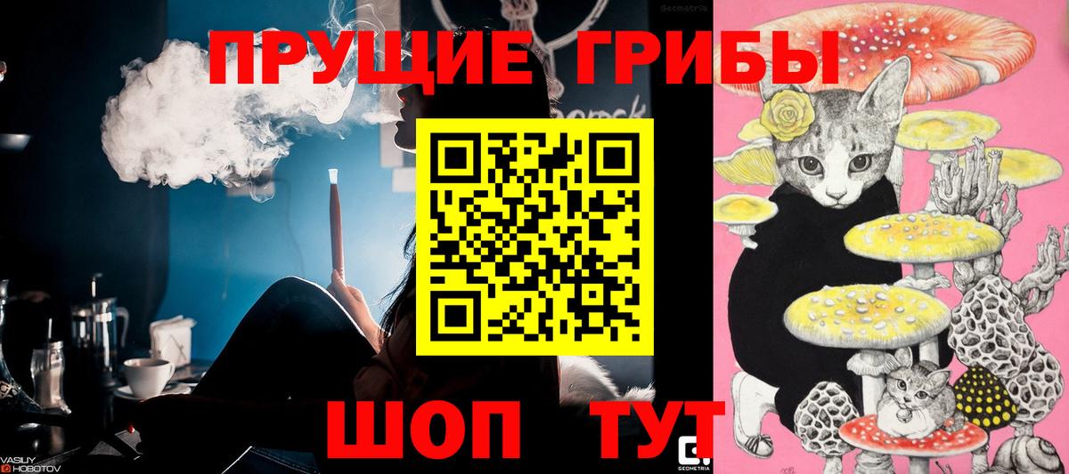 Псилоцибиновые грибы Cubensis  Псилоцибиновые грибы мицелий  наркотики  Вход с VPN  Малгобек 