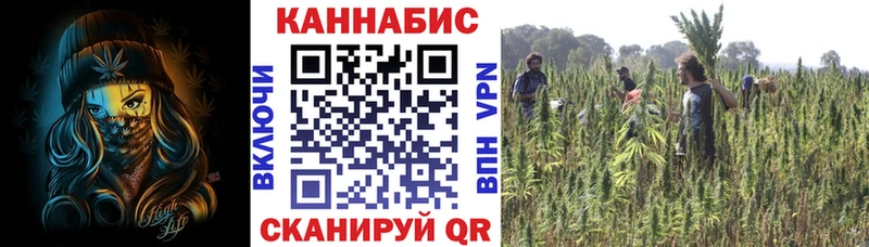 Бошки марихуана индика  Малгобек 