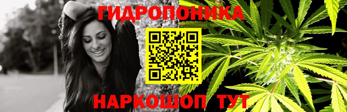 Бошки Шишки White Widow Малгобек